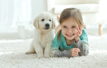 Blog How Often Should You Clean Your Carpets with Pets Resized