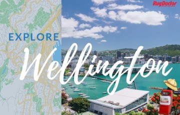 rsz  rug resized travel blog header image wellington 2