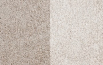 rsz revive carpet blog
