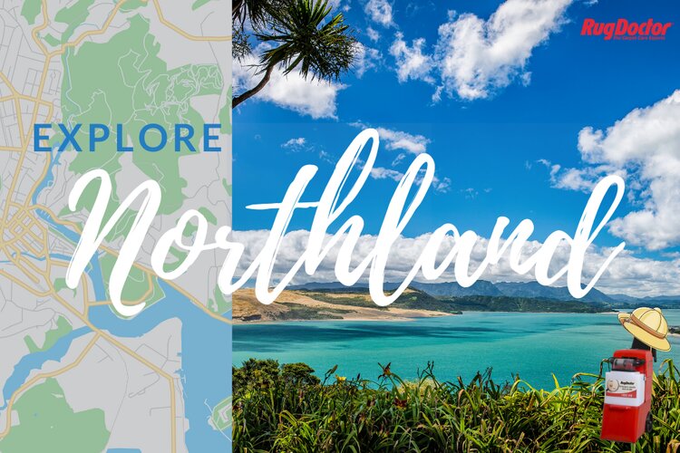 rsz rug travel blog header image northland