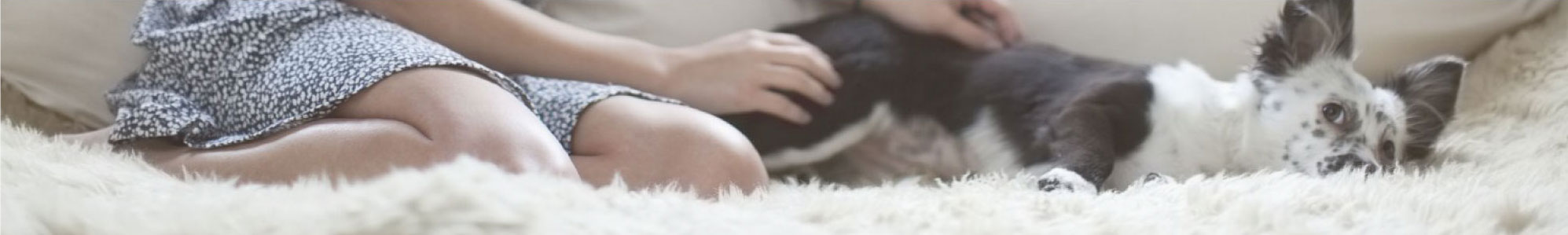 Girl and puppy sitting on a white shag-pile carpet